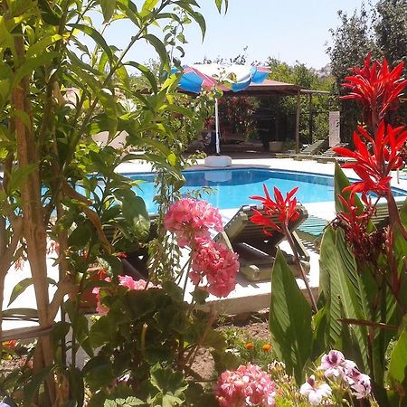 Aparthotel Paradise Garden Gumusluk Evleri Extérieur photo