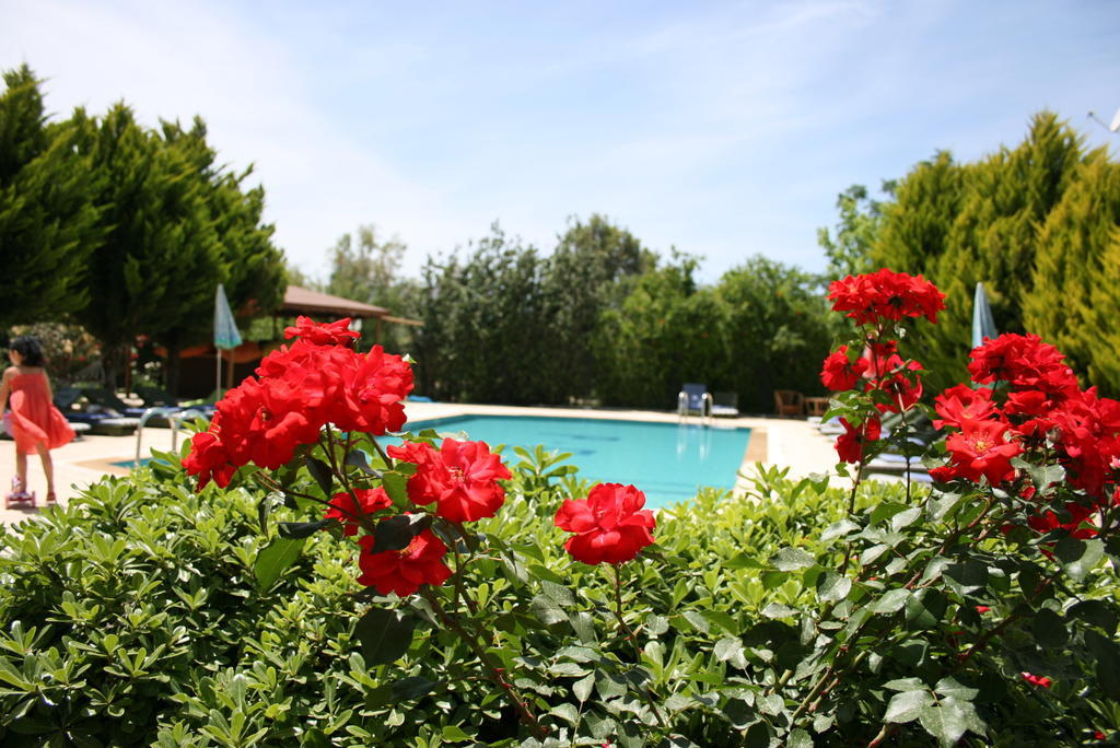 Aparthotel Paradise Garden Gumusluk Evleri Extérieur photo
