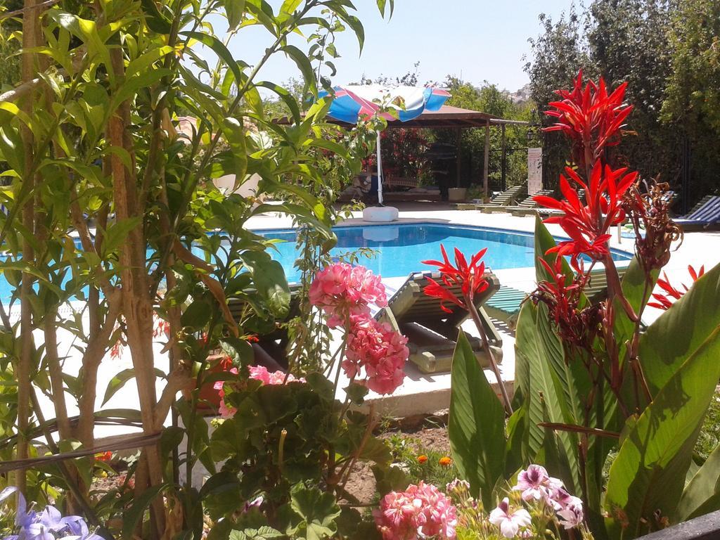 Aparthotel Paradise Garden Gumusluk Evleri Extérieur photo